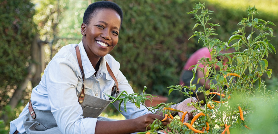 A cheerful black woman looks at the camera while she gardens and takes care of her posture. 